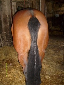 Obrazek