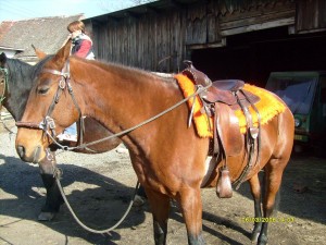 Obrazek
